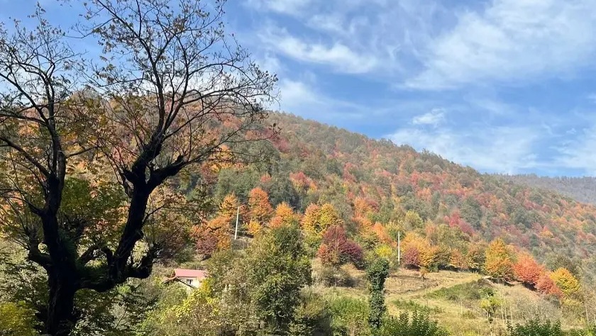 بلوردکان لنگرود کجاست؟