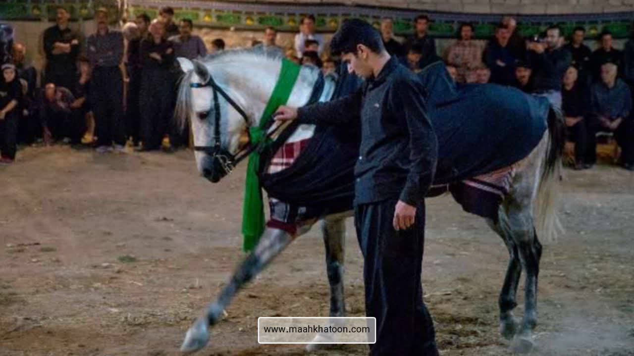 نماد اسب در تاریخ و فرهنگ ایران